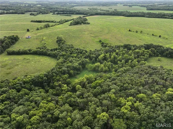 $2,550,000 | Off McAllister Road, Houstonia, MO 65333