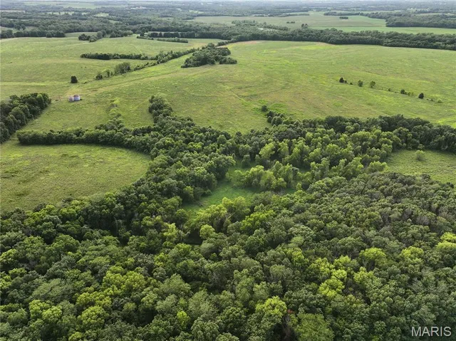 $2,550,000 | Off McAllister Road, Houstonia, MO 65333