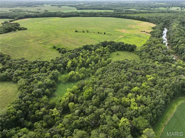 $2,550,000 | Off McAllister Road, Houstonia, MO 65333