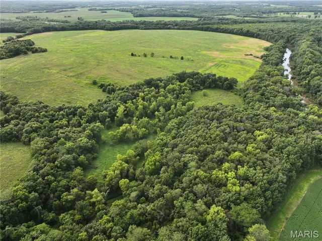 $2,550,000 | Off McAllister Road, Houstonia, MO 65333
