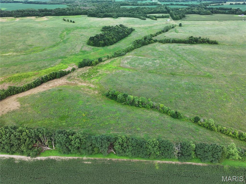 Off McAllister Road Houstonia, MO 65333 - Photo 5 of 26