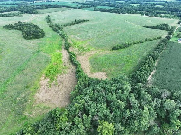 $2,550,000 | Off McAllister Road, Houstonia, MO 65333