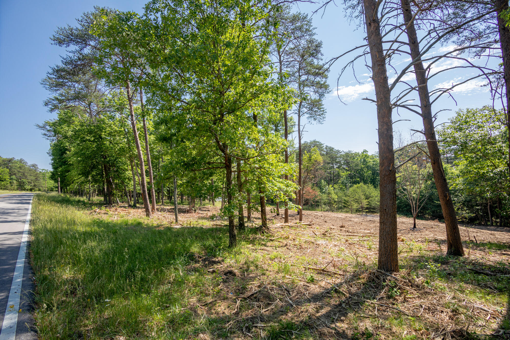 0 Sunset Drive, Unit 25 Rising Fawn, GA 30738 - Photo 14 of 17 20210526_Sunset_Lot25__HoltWebb_0010