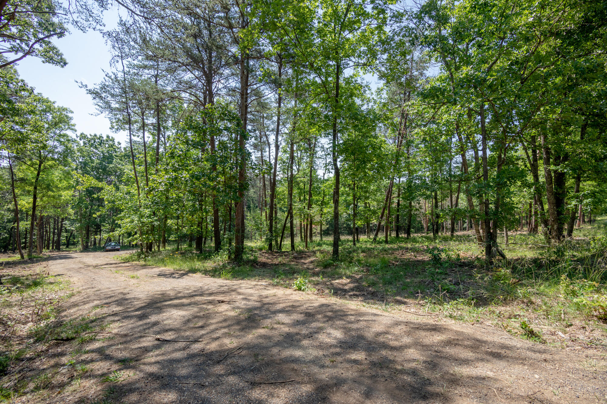 0 Sunset Drive, Unit 25 Rising Fawn, GA 30738 - Photo 3 of 17 20210526_Sunset_Lot25__HoltWebb_0026