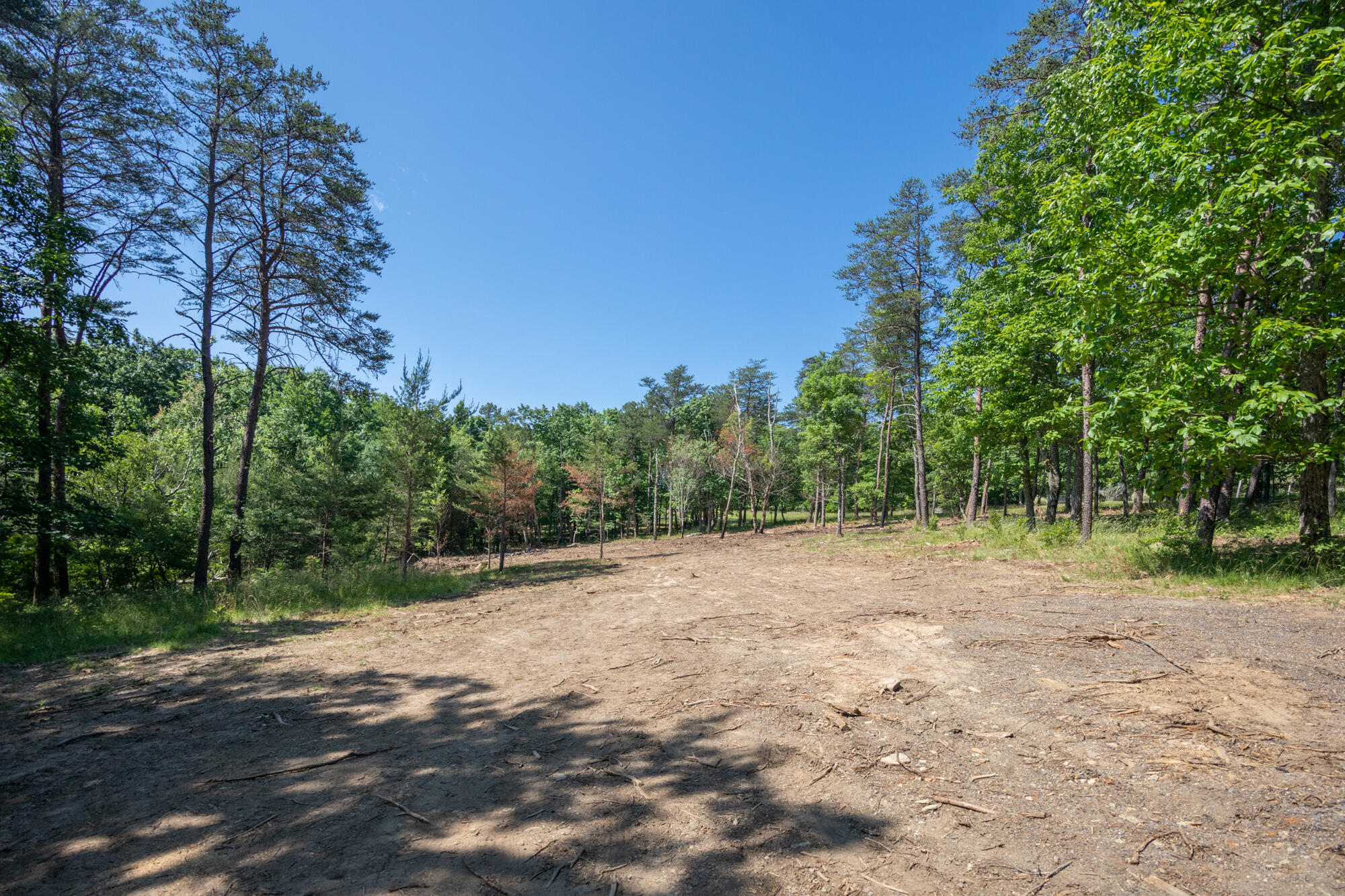 0 Sunset Drive, Unit 25 Rising Fawn, GA 30738 - Photo 4 of 17 20210526_Sunset_Lot25__HoltWebb_0005