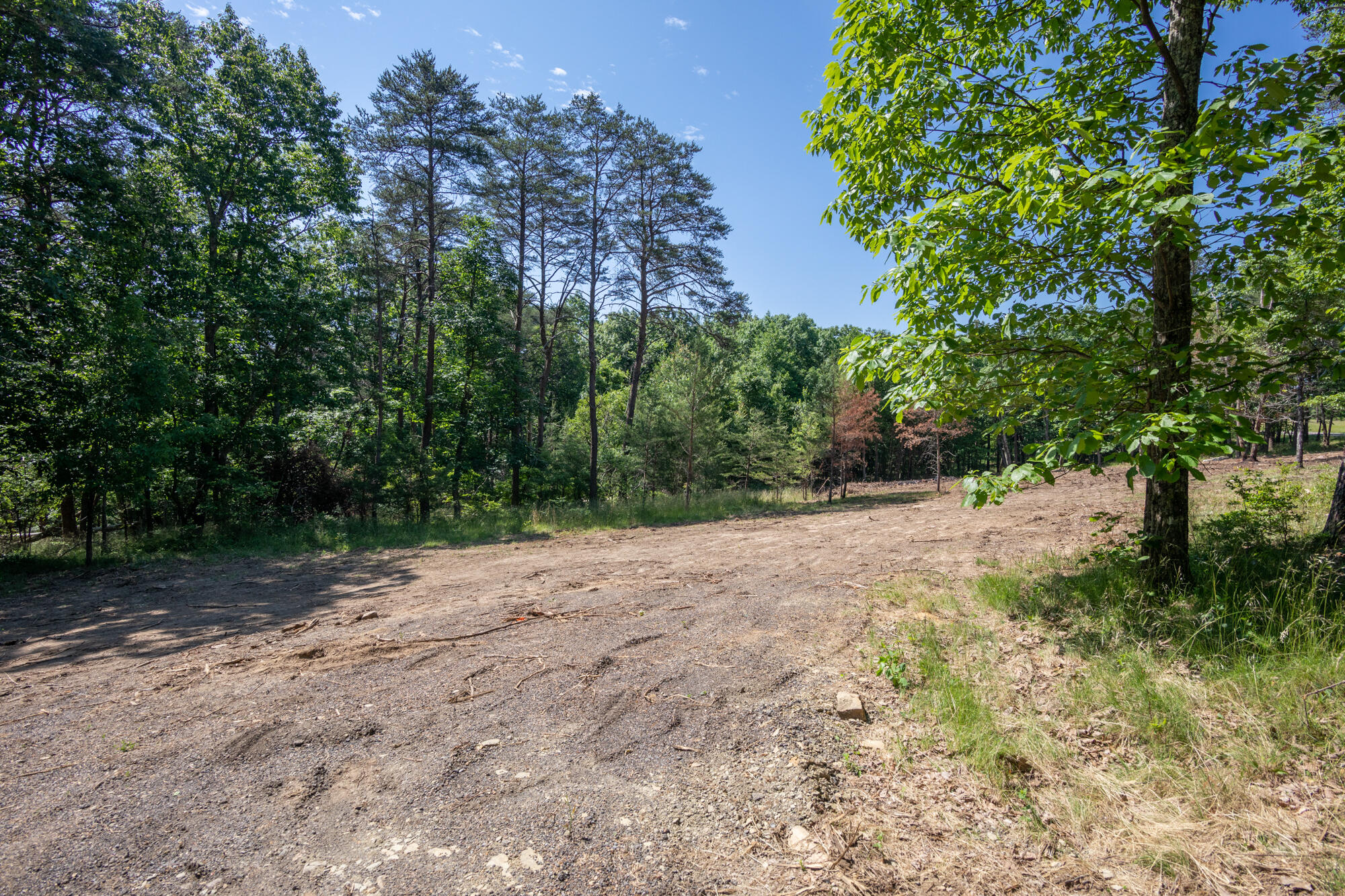 0 Sunset Drive, Unit 25 Rising Fawn, GA 30738 - Photo 5 of 17 20210526_Sunset_Lot25__HoltWebb_0001