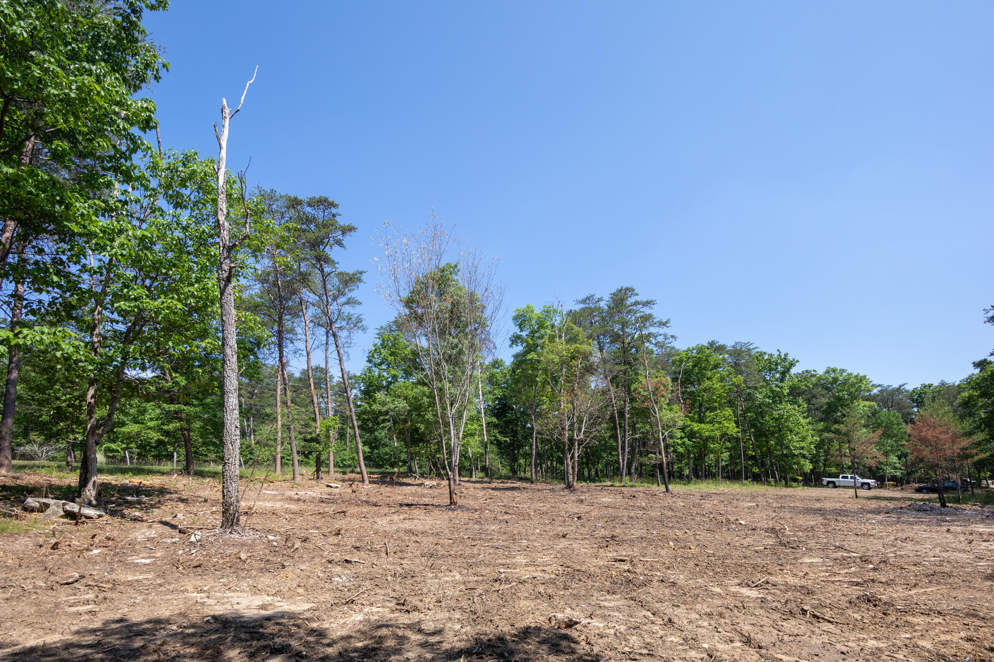 0 Sunset Drive, Unit 25 Rising Fawn, GA 30738 - Photo 6 of 17 20210526_Sunset_Lot25__HoltWebb_0016