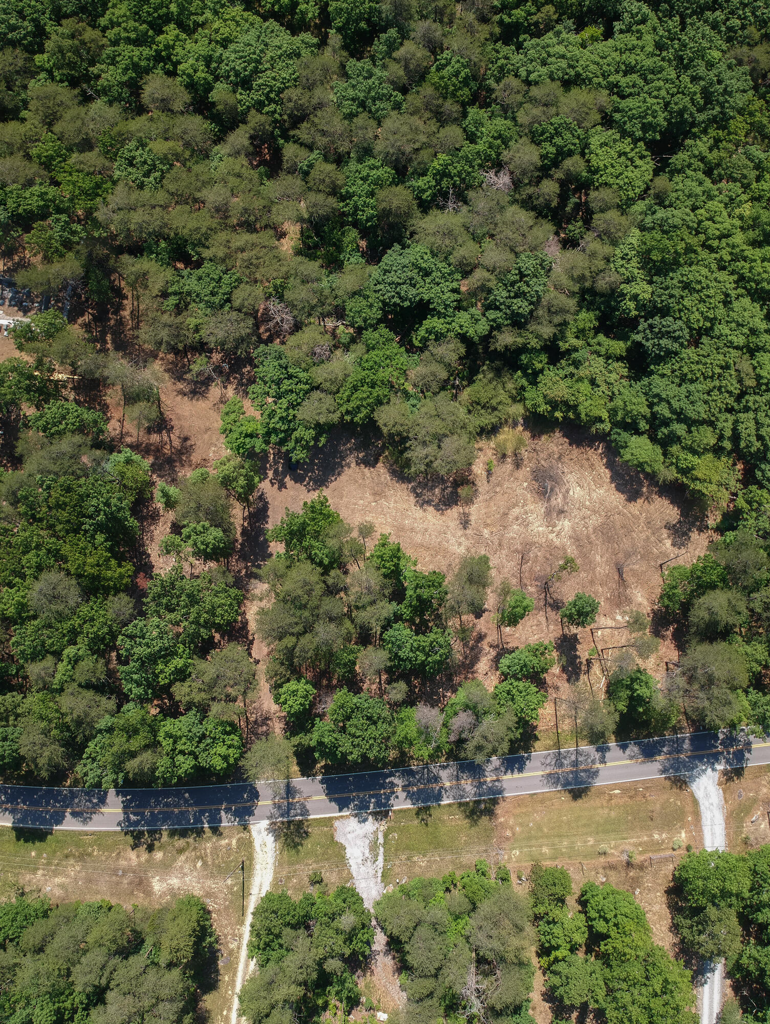 0 Sunset Drive, Unit 25 Rising Fawn, GA 30738 - Photo 8 of 17 20210526_Sunset_Lot25_drone__HoltWebb_00