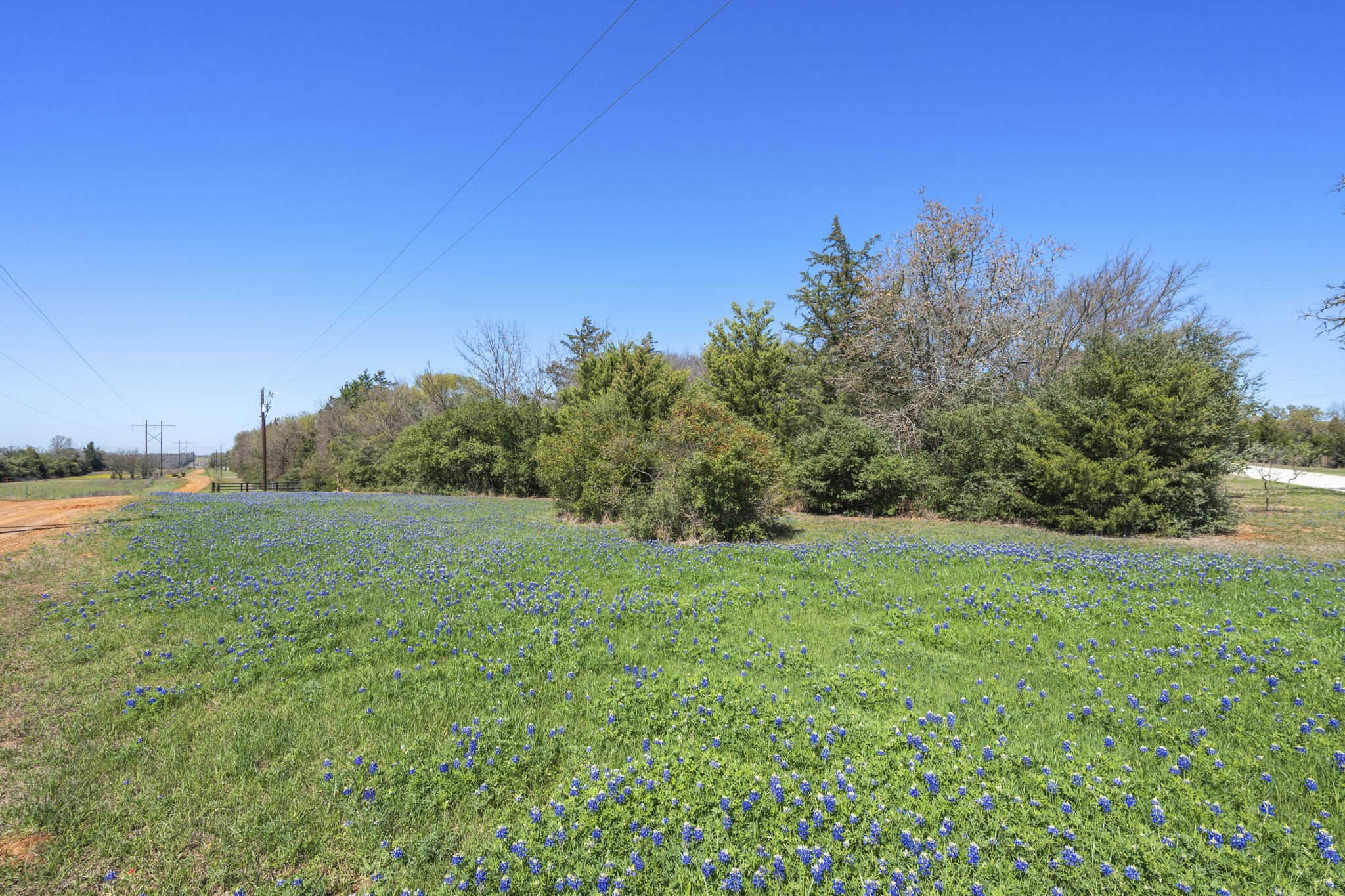11947 Gordon Lane Bryan, TX 77808 - Photo 32 of 43