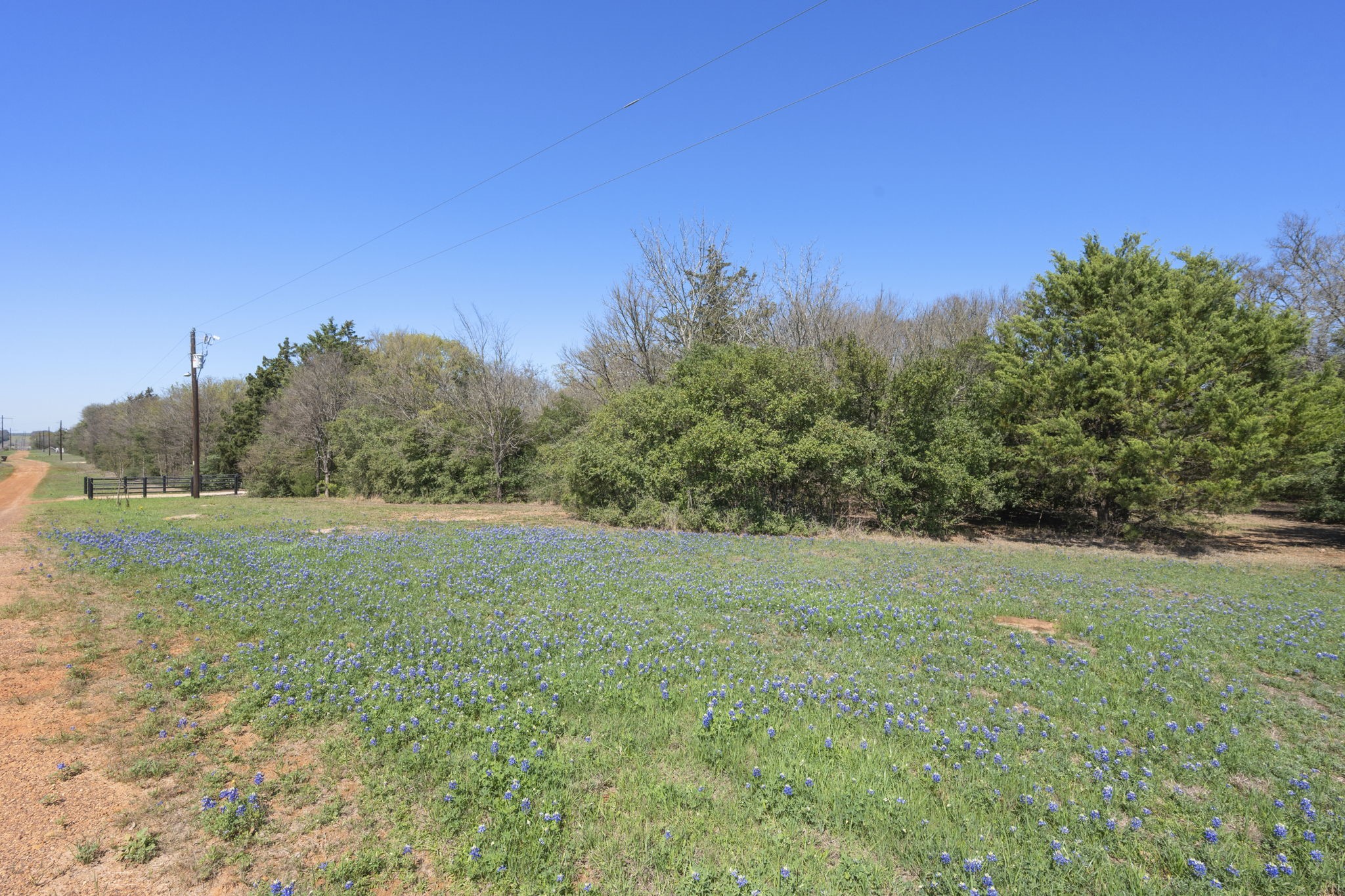 11947 Gordon Lane Bryan, TX 77808 - Photo 33 of 43