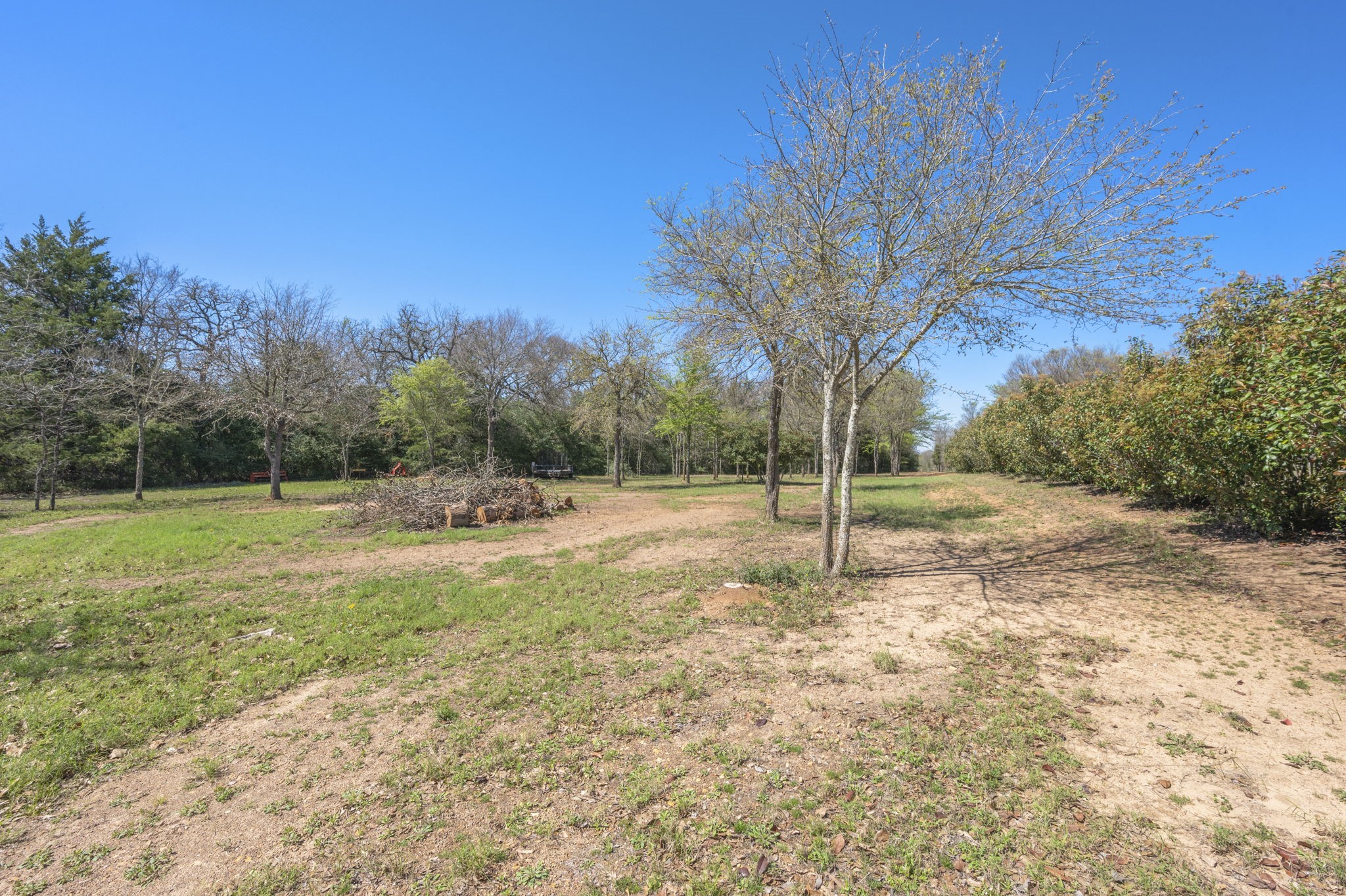 11947 Gordon Lane Bryan, TX 77808 - Photo 35 of 43