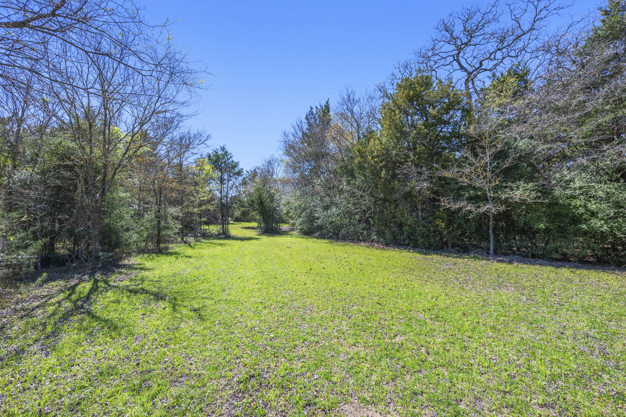 11947 Gordon Lane Bryan, TX 77808 - Photo 36 of 43