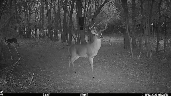 $799,000 | 11947 Gordon Lane, Bryan, TX 77808