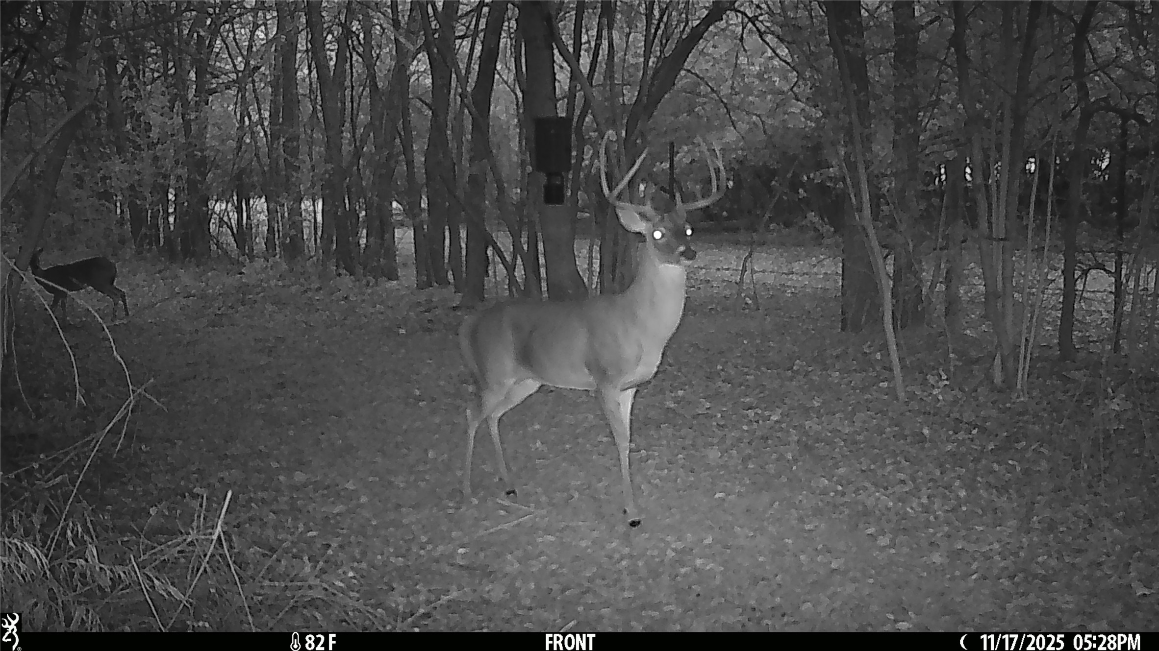 11947 Gordon Lane Bryan, TX 77808 - Photo 38 of 43