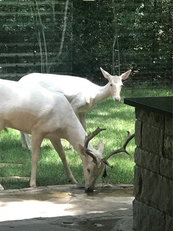 $799,000 | 11947 Gordon Lane, Bryan, TX 77808