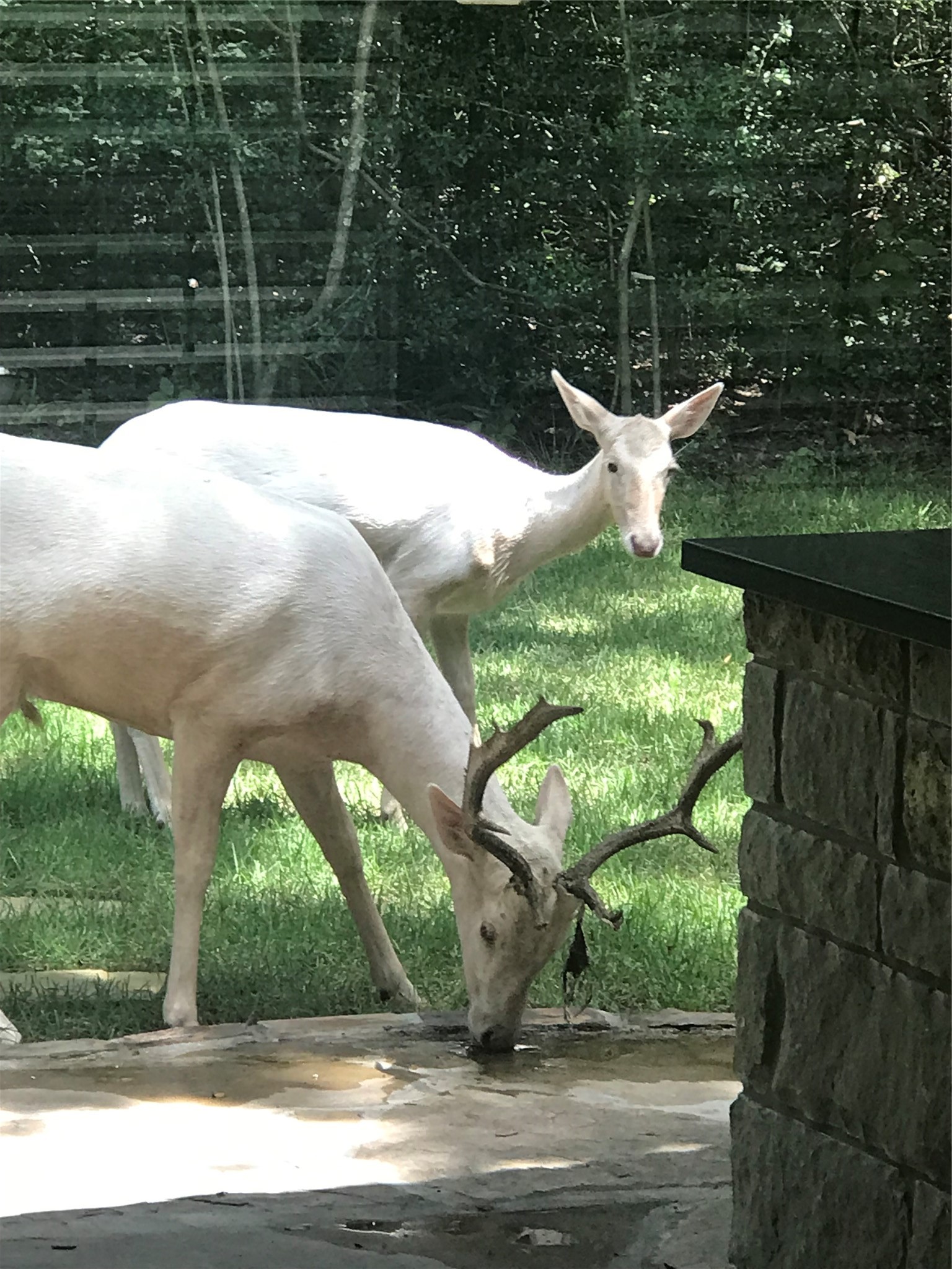 11947 Gordon Lane Bryan, TX 77808 - Photo 39 of 43