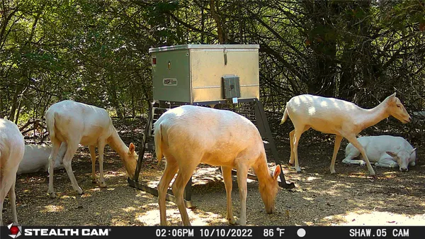 $799,000 | 11947 Gordon Lane, Bryan, TX 77808