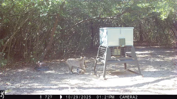 $799,000 | 11947 Gordon Lane, Bryan, TX 77808