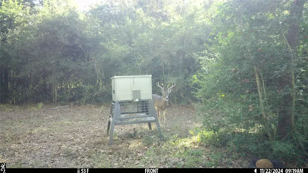 $799,000 | 11947 Gordon Lane, Bryan, TX 77808