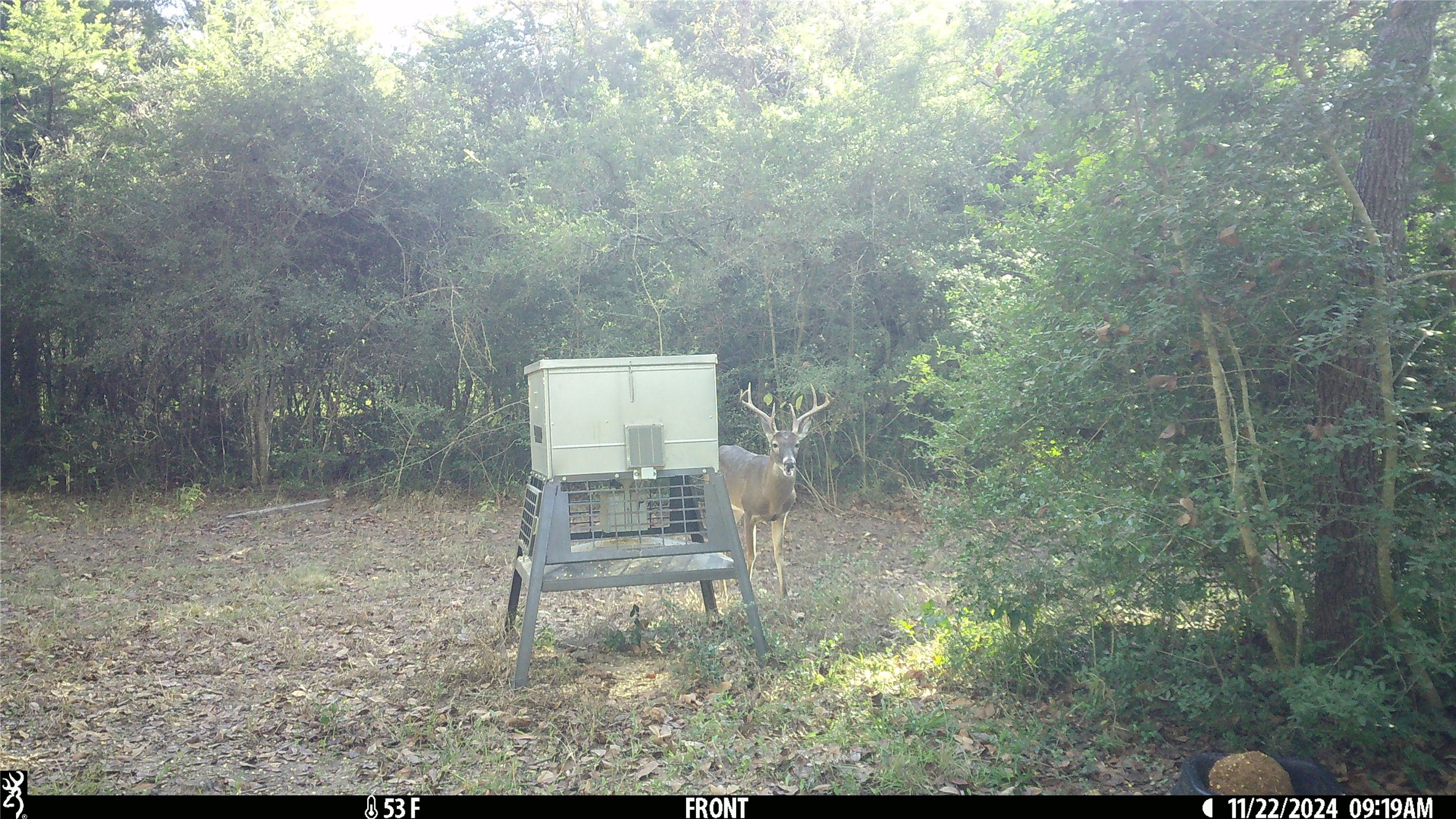 11947 Gordon Lane Bryan, TX 77808 - Photo 42 of 43