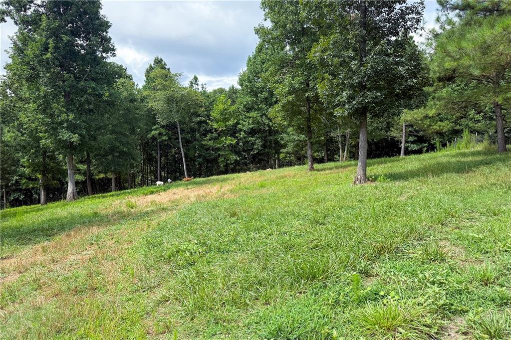 851 Lacy Road Canton, GA 30115 - Photo 51 of 63