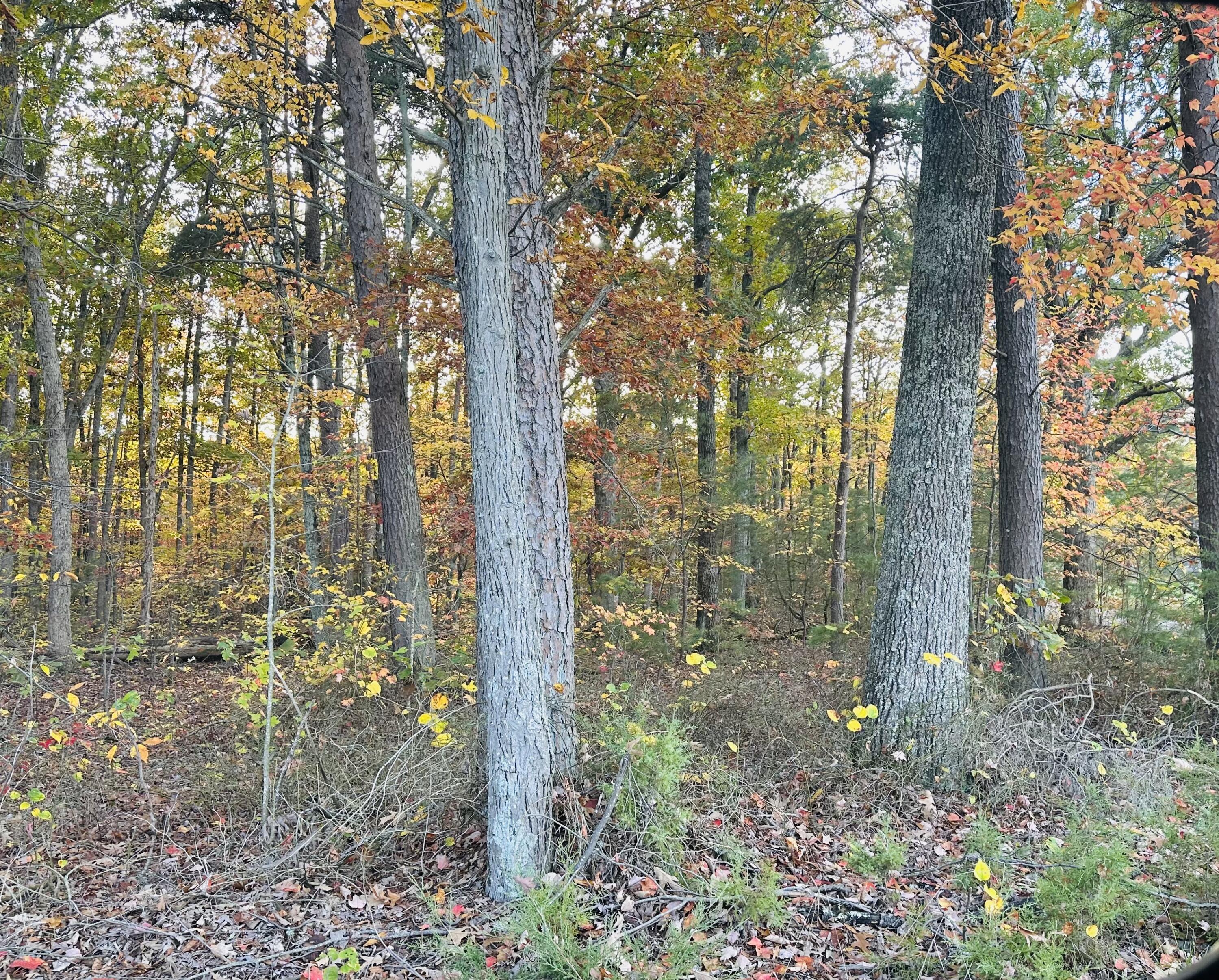 2 Sam Baughman Road Stanford, KY 40484 - Photo 2 of 4 IMG_4631