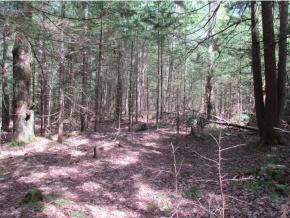 2528 Dane Hill Road Charleston, VT 05872 - Photo 14 of 15 Gallery Image 14