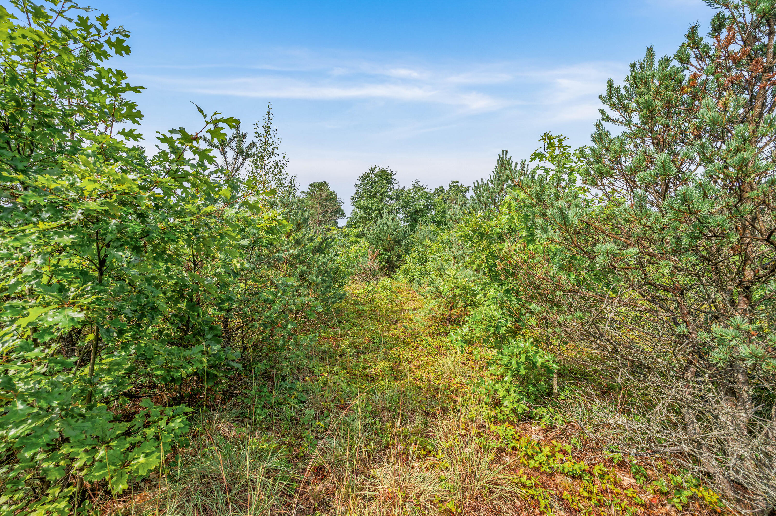 6584 East 96th Street Reed City, MI 49677 - Photo 56 of 61 6584-E96thSt-ReedCity-53