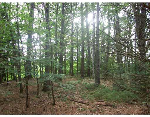 3 Turner Road Buckfield, ME 04220 - Photo 3 of 5 Land.