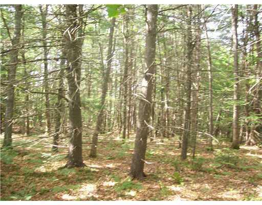 3 Turner Road Buckfield, ME 04220 - Photo 4 of 5 Land.