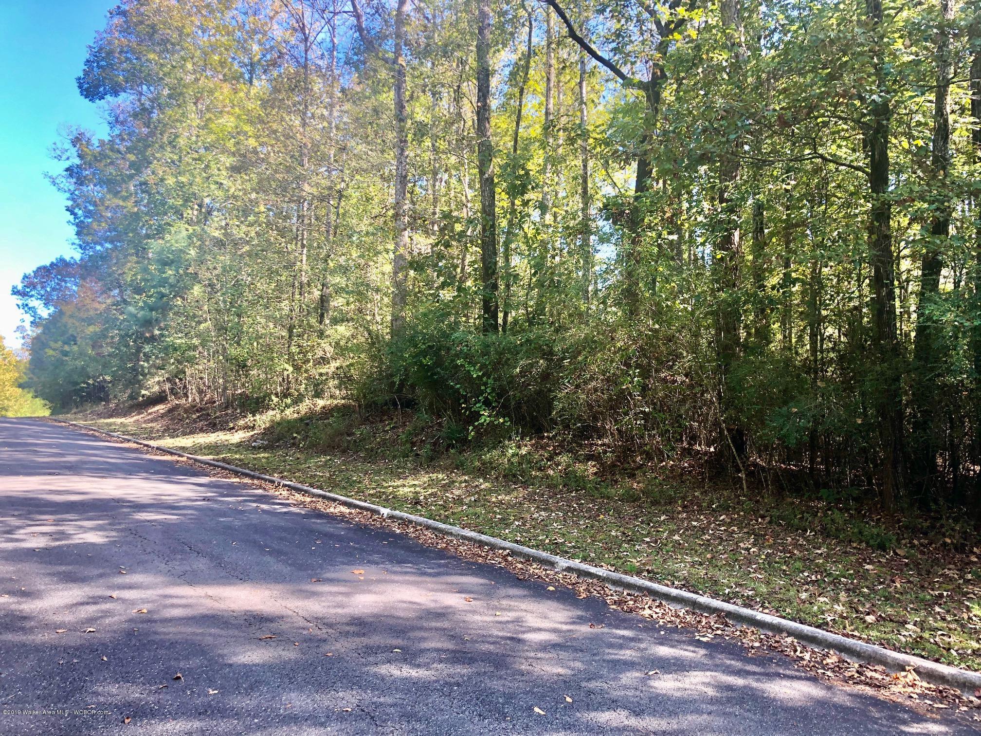 Lot 4 Magnolia Ridge Drive Jasper, AL 35504 - Photo 1 of 4 Gallery Image 1