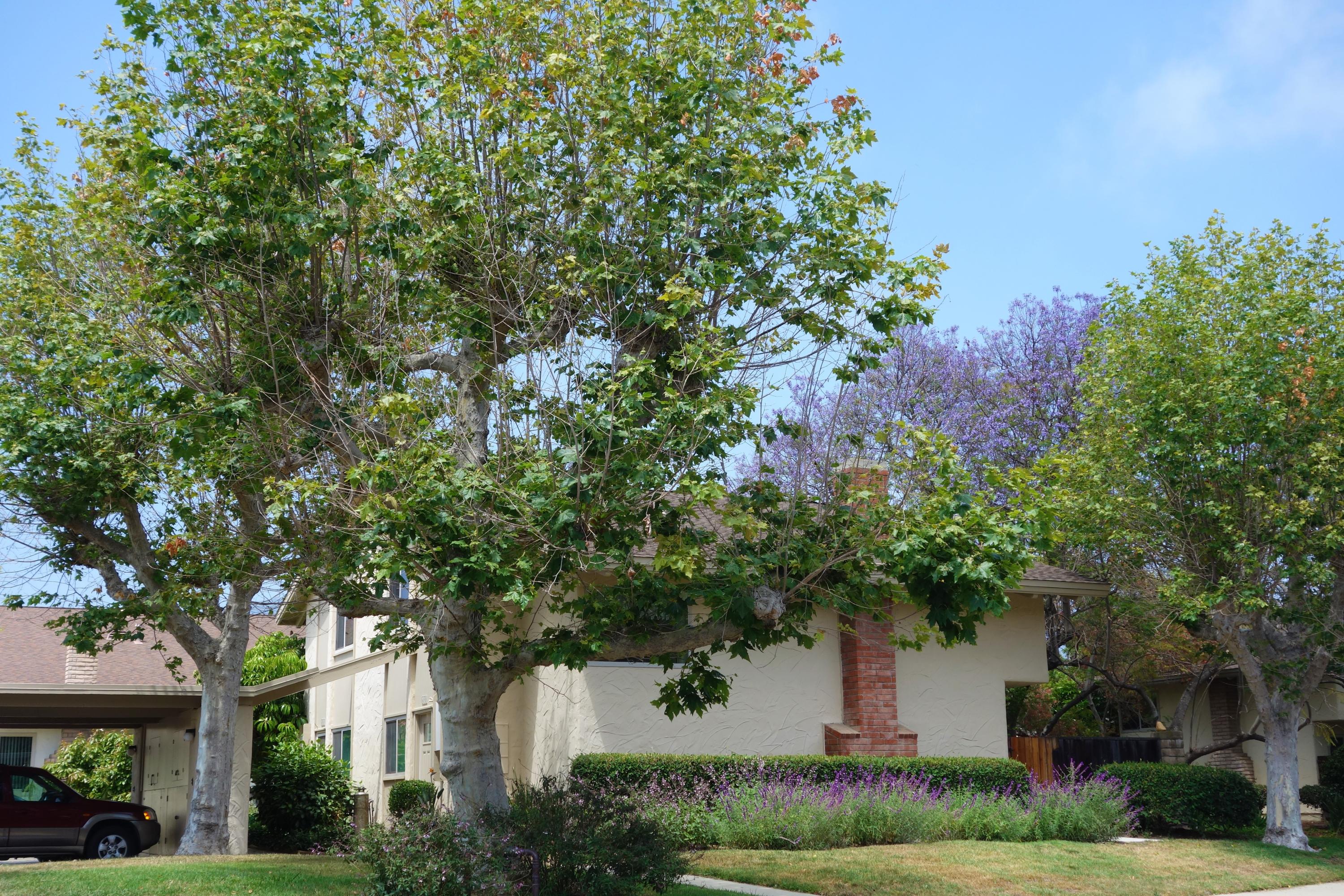 65 North San Marcos Road, Unit B Santa Barbara, CA 93111 - Photo 1 of 22 Front
