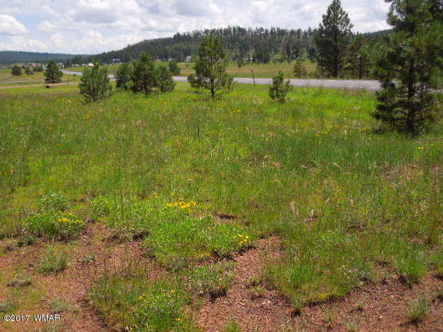 Lot 9 Co Road Alpine, AZ 85920 - Photo 1 of 4