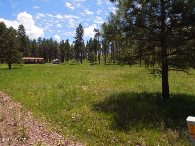 Lot 9 Co Road Alpine, AZ 85920 - Photo 2 of 4