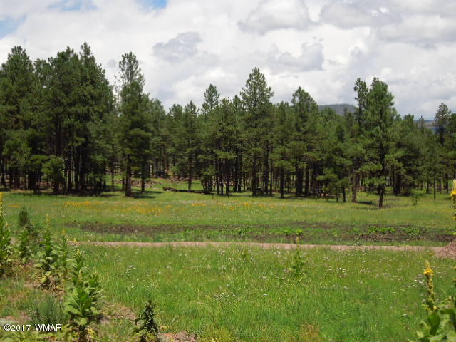 Lot 9 Co Road Alpine, AZ 85920 - Photo 4 of 4