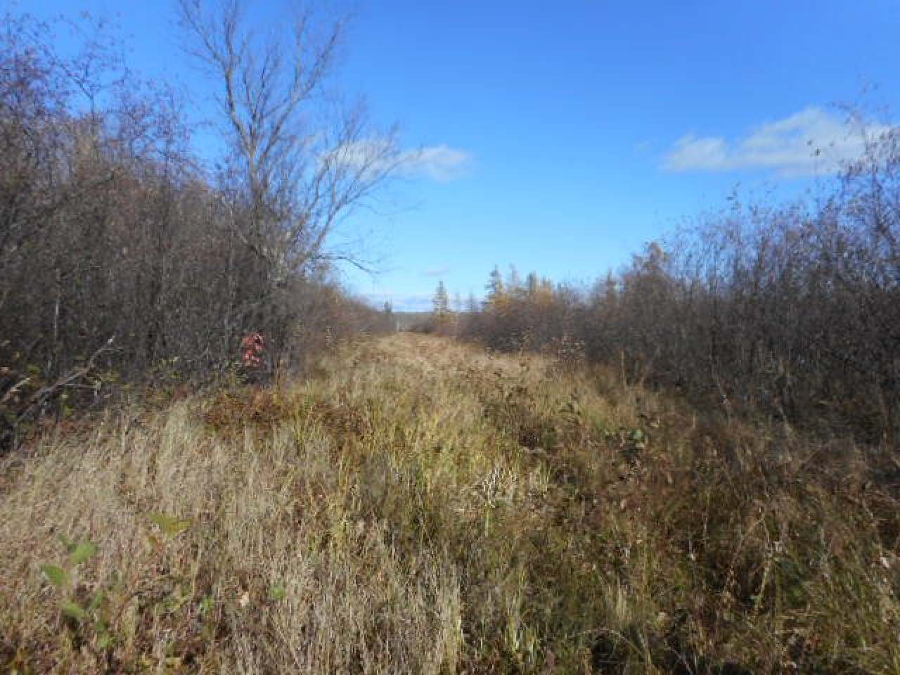 Near Near Newlin Road Brantwood, WI 54513 - Photo 8 of 13 Gallery Image 8