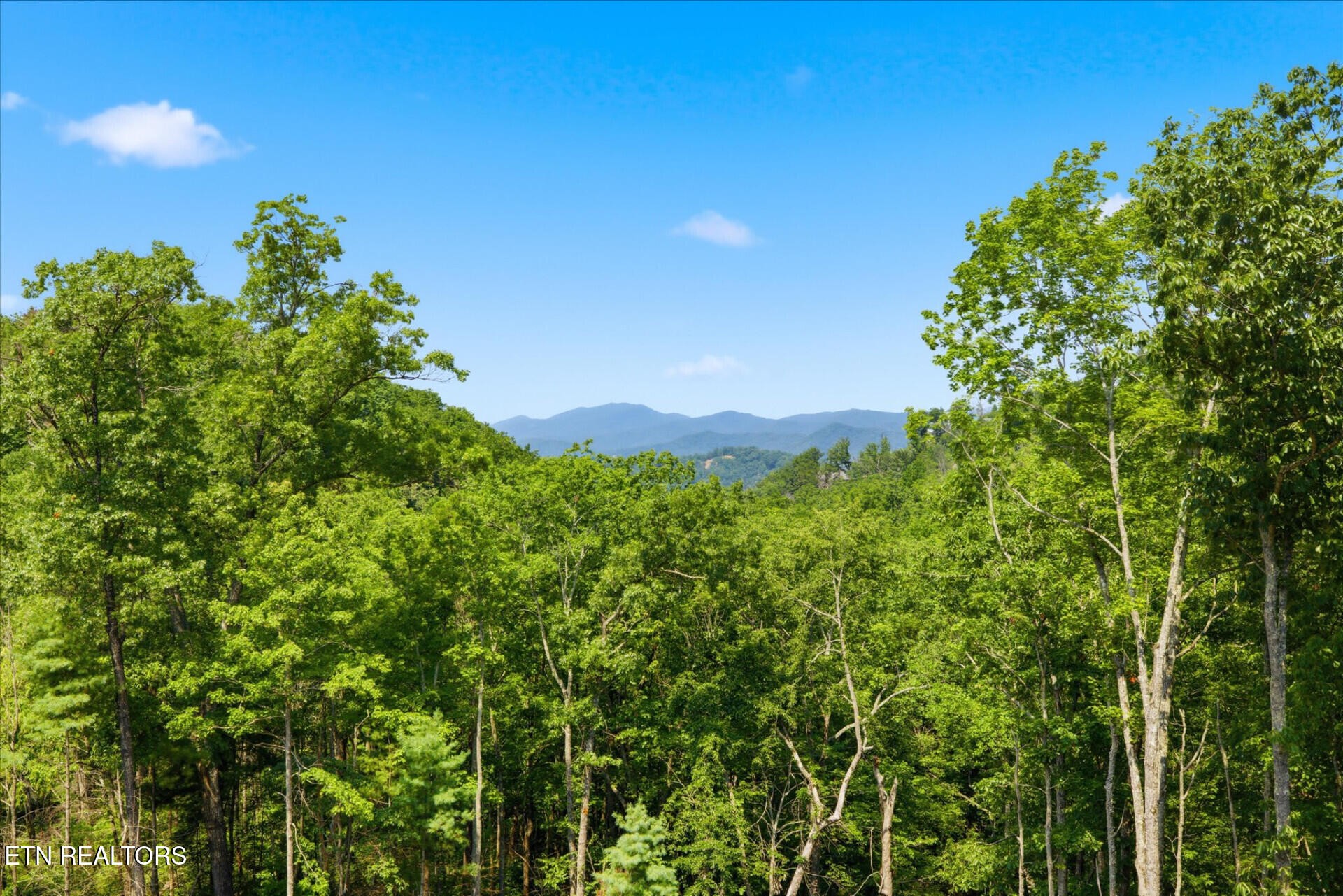 2046 Spurling Road Sevierville, TN 37862 - Photo 51 of 52