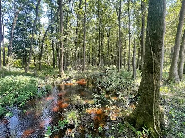 $142,500 | 2 Grooms Road, Cross, SC 29436