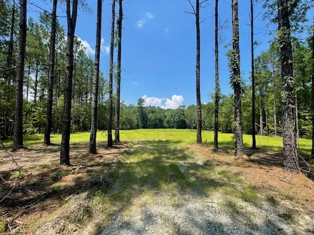 $142,500 | 2 Grooms Road, Cross, SC 29436