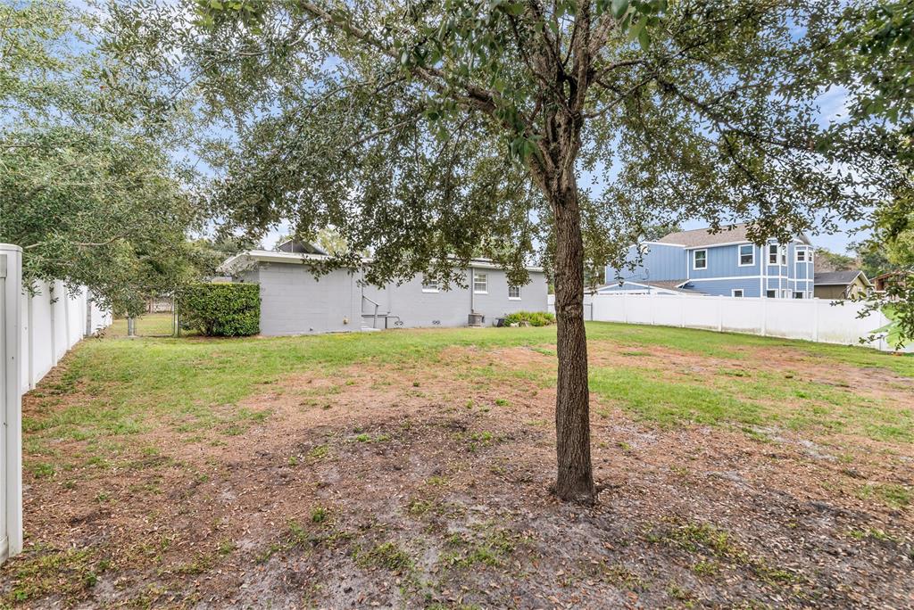 1124 Edgewater Court Orlando, FL 32804 - Photo 21 of 22 a view of a yard with plants and tree