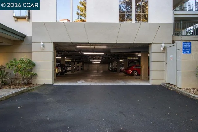 a view of a park that has a tree on the side