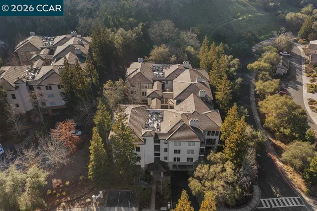 a view of a patio with table and chairs potted plants and a large tree
