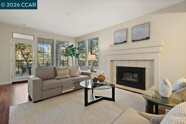 a room with furniture and a potted plant