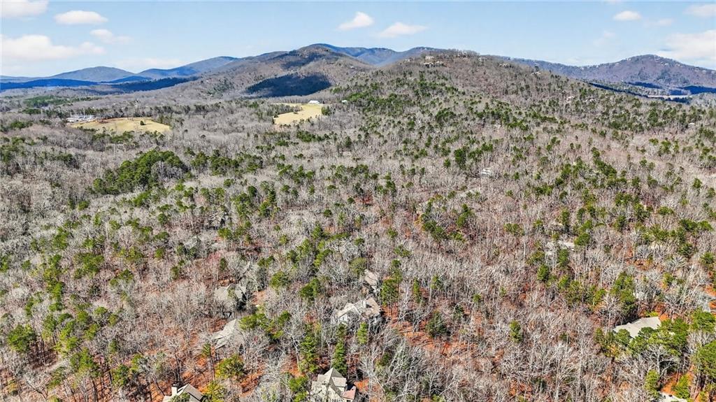 1027 Hunters Trace Jasper, GA 30143 - Photo 66 of 70