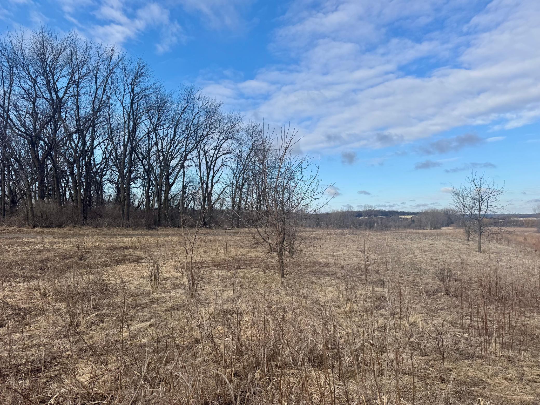 407 36th Avenue Southeast Rochester, MN 55904 - Photo 2 of 2