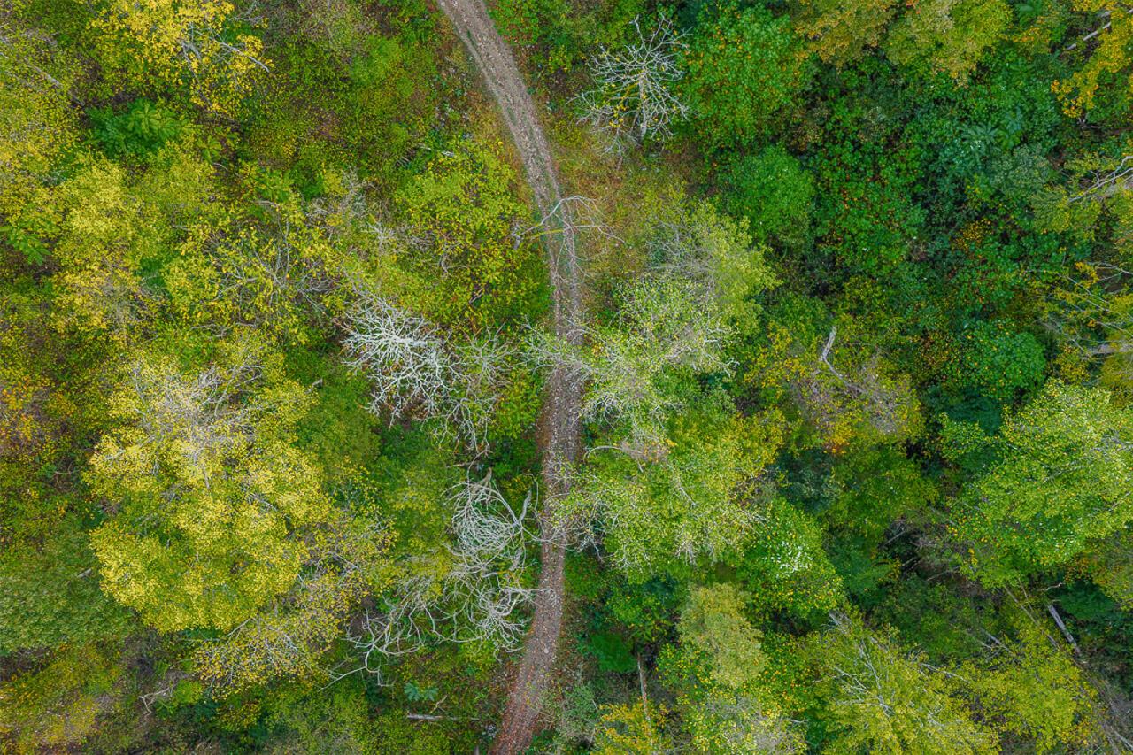 21995 Harrons Ridge Road Dexter City, OH 45727 - Photo 9 of 32 9