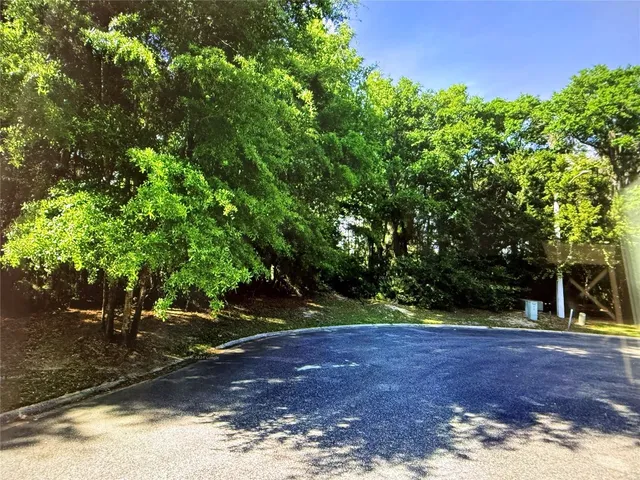 a view of a yard with plants and trees