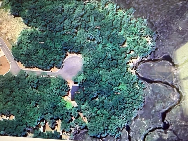 a view of a garden with a tree