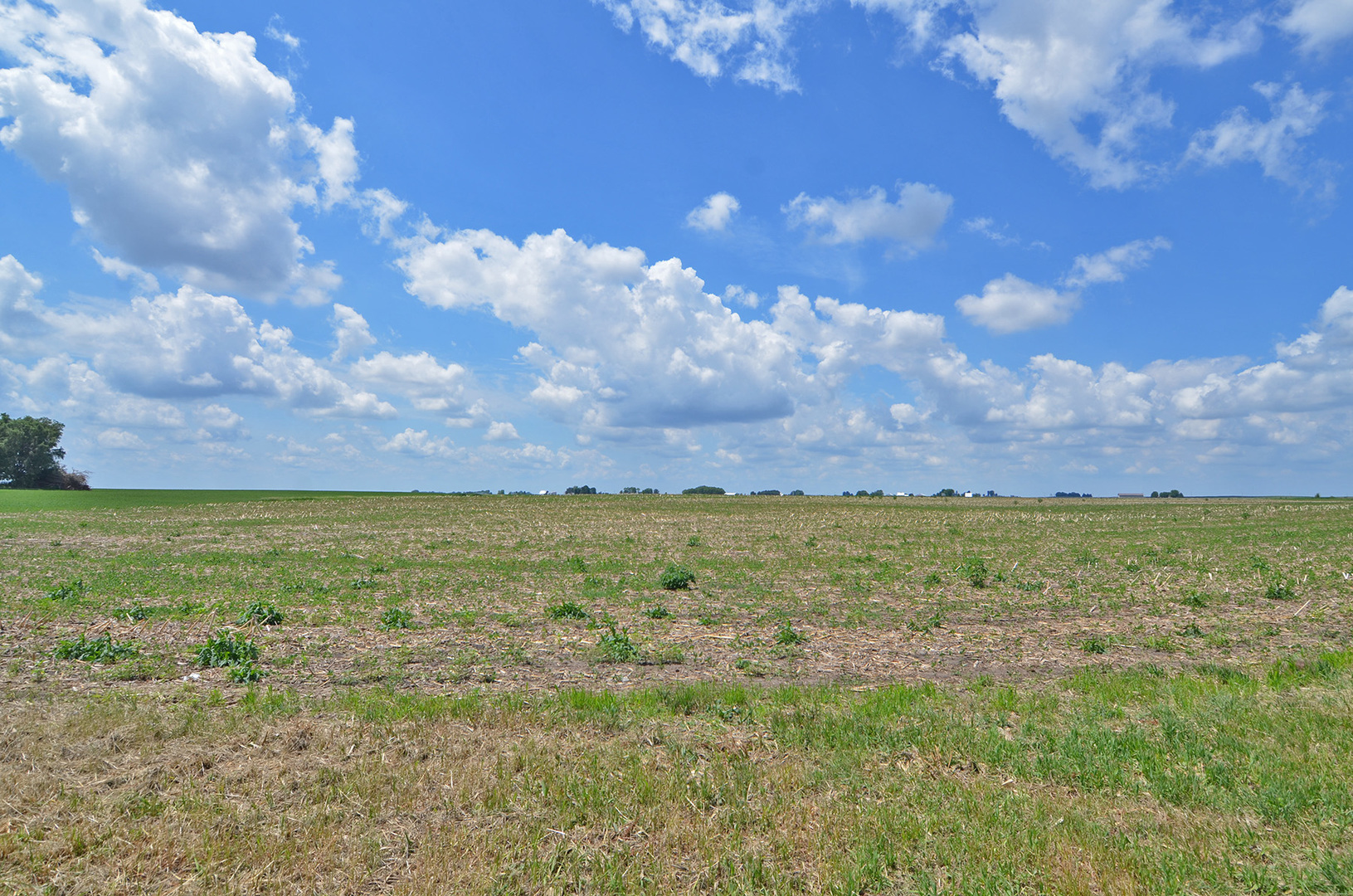 0 East 9th Road Utica, IL 61373 - Photo 6 of 9