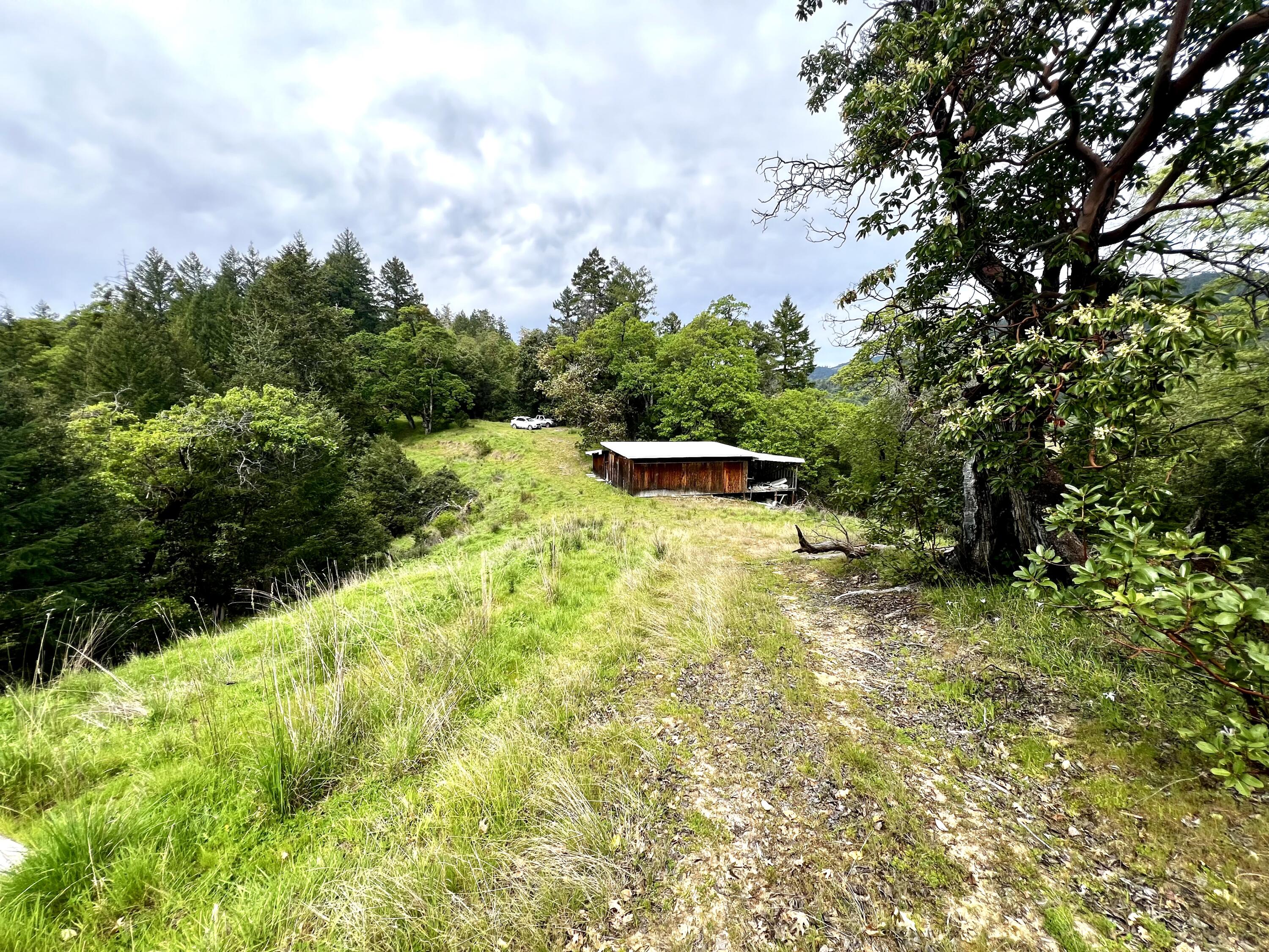 1880 Tunnel Road Redway, CA 95560 - Photo 5 of 13